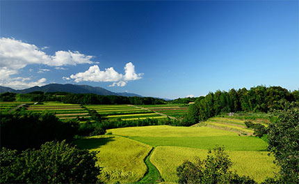 めいすいの里山